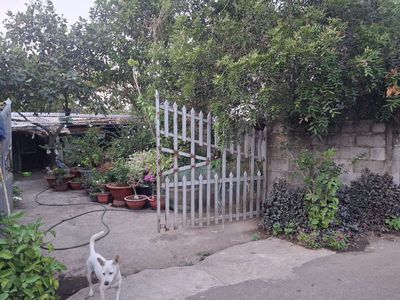 Cần bán nhà ở cấp 4