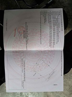 Nhà vườn Cai Lậy, 909m2 đất ( 300m ) thổ cư. DT: 26x31m = 3,5 tỷ