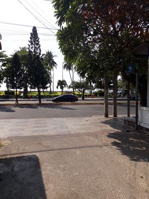 💥 BÁN ĐẤT BÃI TRƯỚC 295m², NGANG 11m, HÀNG HIẾM– GẦN BIỂN–GIÁ ~41 tỷ