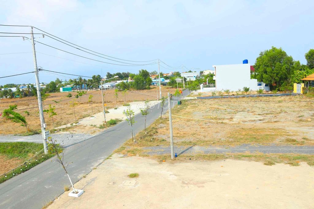 🔥 Nhà phố giá tốt Cần Đước – Sổ hồng riêng – Dọn vào ở liền!