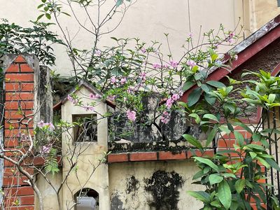 CHÍNH CHỦ CHO THUÊ NHÀ NGUYÊN CĂN KHU THÀNH CÔNG
