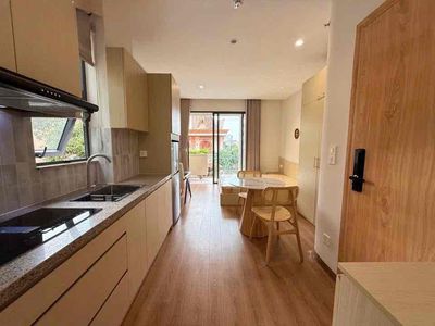 Căn Chung cư Mini đối diện Nhà Ga T3 - Cộng Hoà - Hoàng Hoa Thám