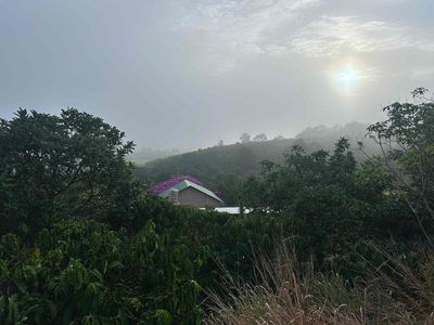 Cho Thuê Nhà và Đất 2.000m2