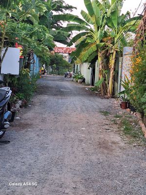 Hẻm xe hơi Đất nông nghiệp DTSD:500m² gồm nhà lá + đất WC điện nước ĐĐ