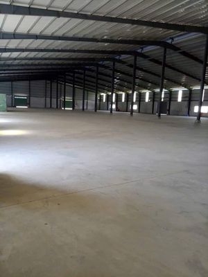 CHO THUÊ XƯỞNG BẾN LỨC – LONG AN | PCCC ĐẦY ĐỦ | XE CONTAINER 24/24