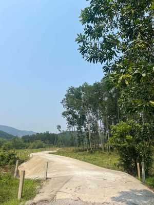 cần cho thuê mãnh đất 15000m2 tại phú bài