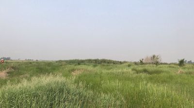 CHO THUÊ ĐẤT CHÍNH CHỦ 5000m² TÂN THẠNH ĐÔNG, CỦ CHI  GIÁ CỰC RẺ