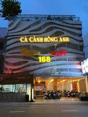 ​CHO THUÊ TÒA NHÀ 168 ĐÀO DUY ANH, PN - 12x17m - 135 TRIỆU