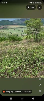 Cho thuê 3ha đất nông nghiệp giá rẻ