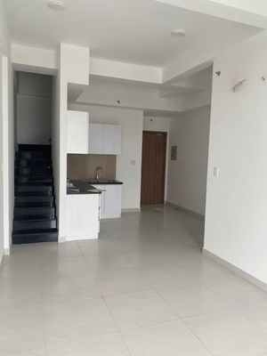 Cho thuê duplex(3pn+3wc) sân vườn, view 360 độ . Kế Q2 đi Q1 mất 20p.