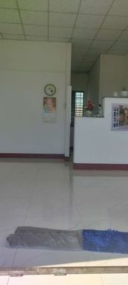 Cho thuê Nhà Nguyên Căn tự do