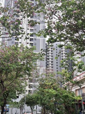 2Pn 2Wc 74m2 tại Eco Xuân có nội thất cho thuê 