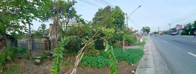 Cho thuê đất mặt tiền QL50 đối diện Chợ Thạnh Lạc Đông