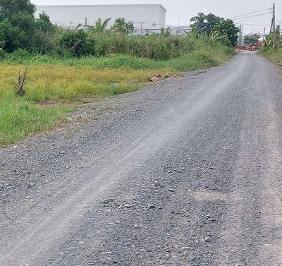 cho thuê 9500m2 đất MT kênh đường Vườn Thơm xã bình Lợi 