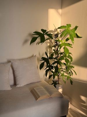 Cho thuê The Privia, Studio sẵn nội thất cơ bản (NHÀ MỚI, VIEW THOÁNG)