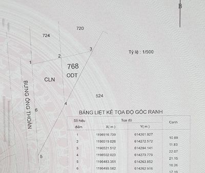 Cần cho thuê đất mặt tiền 33m Bưng Ông Thoàn Samsung village khu CNC