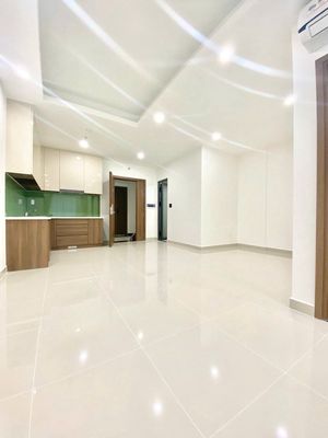 CẦN NHƯỢNG LẠI CĂN HỘ 1PN Q7 RIVERSIDE COMPLEX GIÁ 8TR5