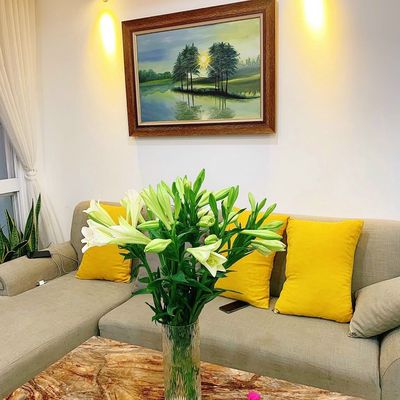 Cho thuê căn hộ Remax Plaza Quận 6  ✅ 