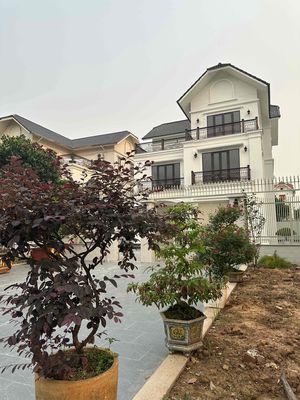 BIỆT THỰ CHHO THUÊ