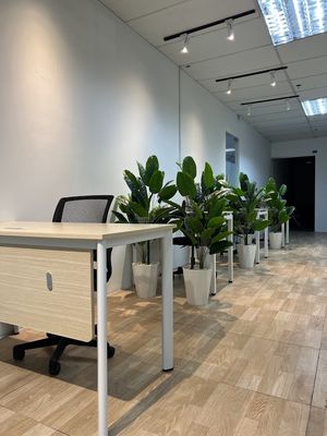 Văn Phòng Trọn Gói