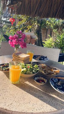 Cho thuê nhà vườn Cần Giuộc,HXH,có ao cá, làm homestay, vlog, tikkok