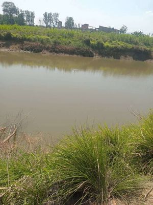 cho thuê hồ nuôi cá