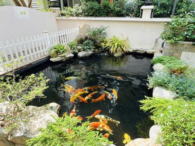 Biệt thự đơn lập Mỹ Văn 300m2, có hồ cá koi, nội thất cực đẹp, ở liền