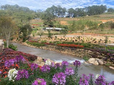 cho thue đất ma tại Ma Rừng Lữ Quán