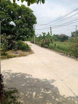 Nhà mặt tiền hẻm xe hơi.