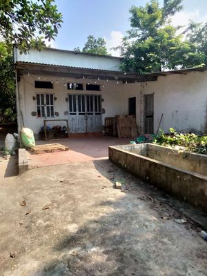 cho thuê làm trang trại,  kho xưởng