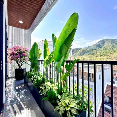 Cho thuê Penhouse gần đường Lý Thái Tổ view đẹp