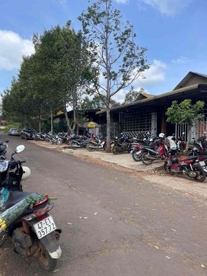 cho thuê đất diện tích lớn