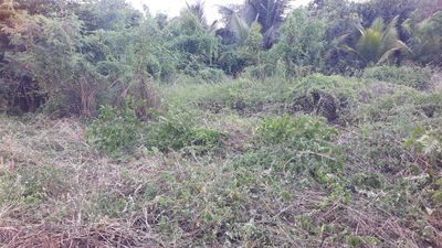 CHO THUÊ DÀI HẠN ĐẤT NỀN 450M2 CHÍNH CHỦ