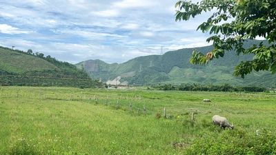 Bán hoặc Cho thuê đất du lịch dài hạn.