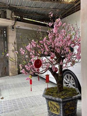 BIỆT THỰ SÂN VƯỜN NGỌC THUỴ 190m2 – Ô TÔ VÀO NHÀ, FULL ĐỒ–23TR/THÁNG!