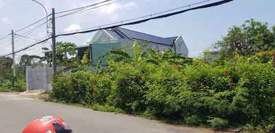 Cho thuê đất chính chủ xã Long Hòa Cần Giờ