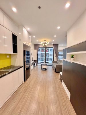 Chính chủ cho thuê căn hộ chung cư 2n1k lạc long quân