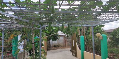 Bán nhà vườn 150m2 Diên Lạc - Cách Tỉnh lộ 2 chỉ 2 phút