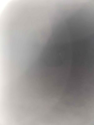 cho thuê đất mân quang 6