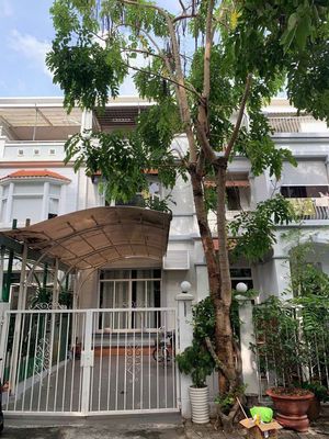 Cho thuê biệt thự liền kề Phú Mỹ Hưng