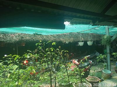 cần sang quán cafe sớm nhỏ