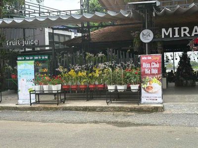 Cho thuê hoặc sang quán cf tại Bình Lợi, Bình Thạnh