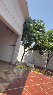 nhà cho thuê ngắn hạn dài hạn