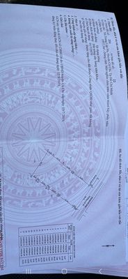 Cho thuê 1950m2 đất trồng cây, xã Trung Lập Hạ, Củ Chi.