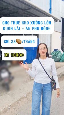 kho xưởng vườn lài cho thuê