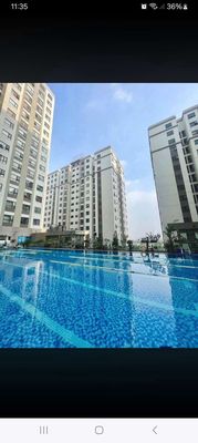 chung cư chính chủ