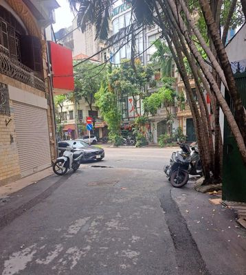 Cho Thuê Nhà Nguyên Căn Ngõ 25 Đặng Thùy Trâm, làm VP, Spa, Kinh doanh