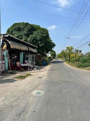 cho thuê 800m2 đất trống , hàng rào cao . 200m2 thổ cư