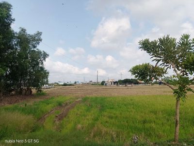 Cho thuê đât nông nghiêp