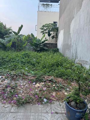 Cho thuê đất giá rẻ Đường